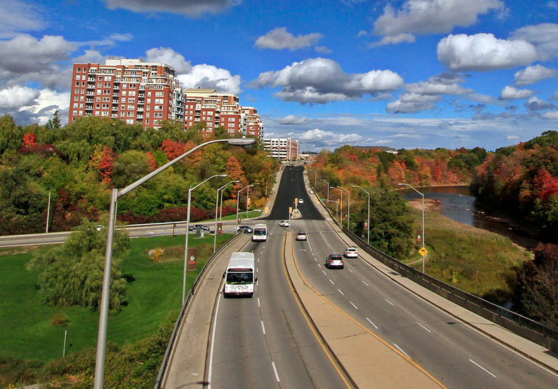 Buses travelling down Speers Road with autumn leaves in the background.